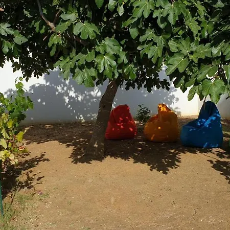 Πανσιόν Fig Tree Λάγος